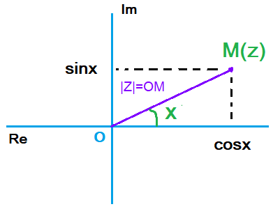 arg et module arg